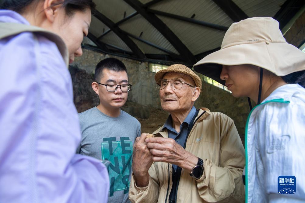 微信赌牛牛软件
